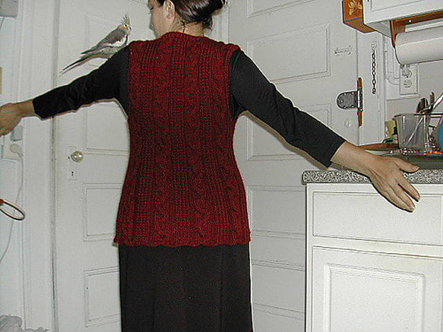 Meandering Cable Vest
