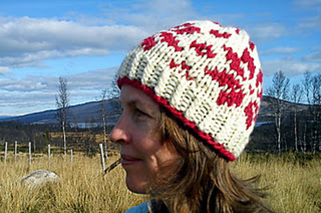 Stella polaris hat