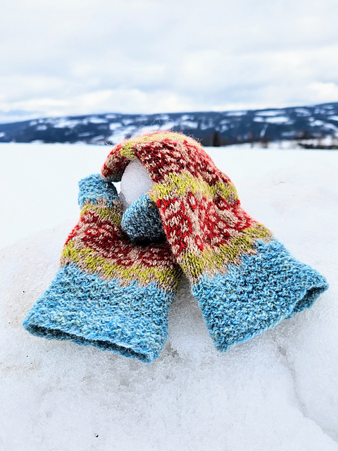 Companion mittens #1