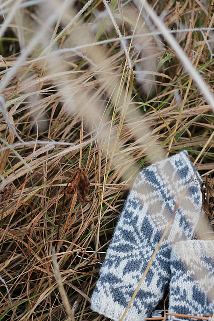 Talvi mittens