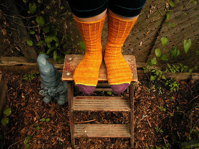 Sweet Sock