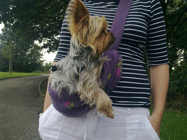 Puppy Papoose