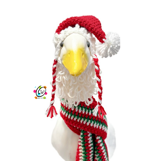 Big goose Santa Set