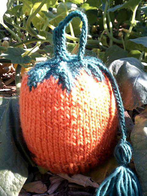 Pumpkin (knit)
