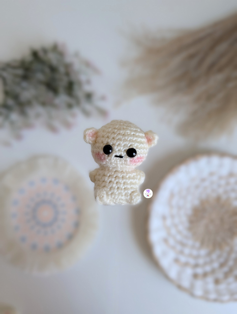Baby Polar Bear
