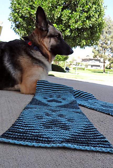 Saundra's Magic Scarf, Paws on my Heart