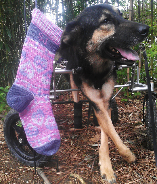 Saundra's Stocking, Paws on my Heart
