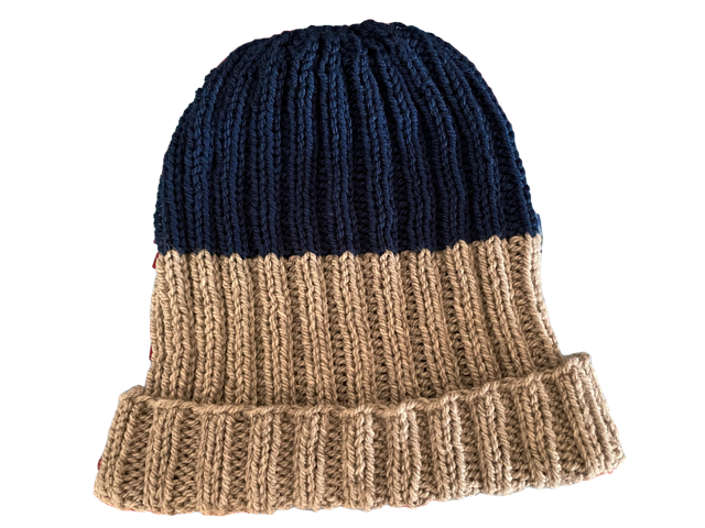Two Tone Beanie