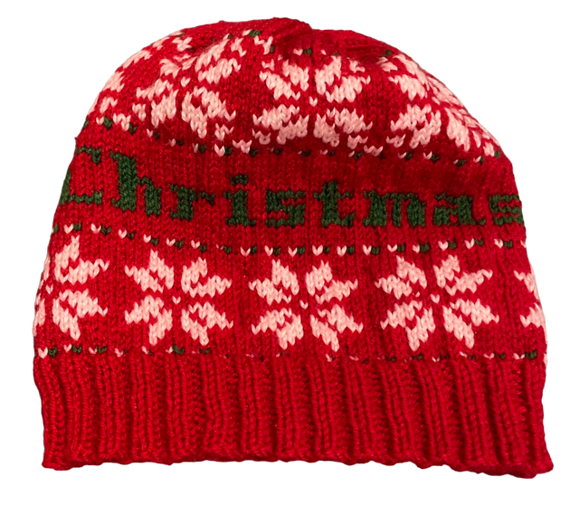 Merry Christmas Beanie