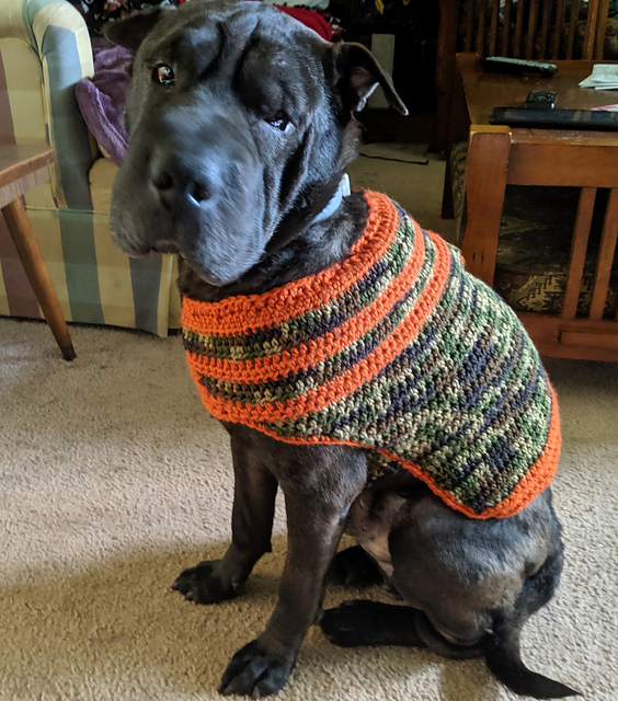 Bruno's Sweater Coat