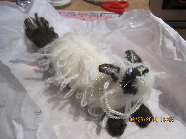 Ragdoll