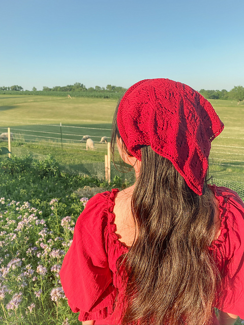 Heartland Bandana