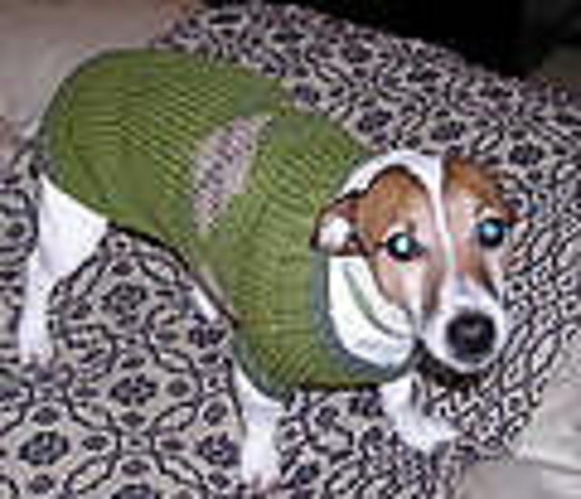 Argyle Sweater
