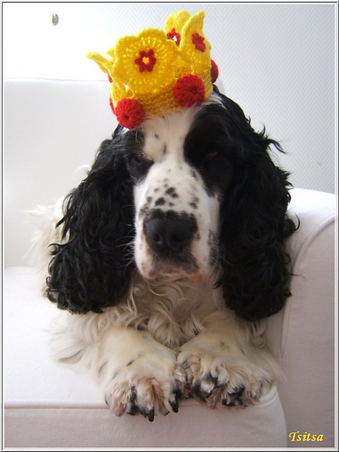 La couronne d'Abby