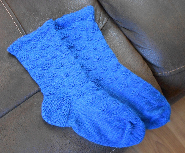Cornflower Socks