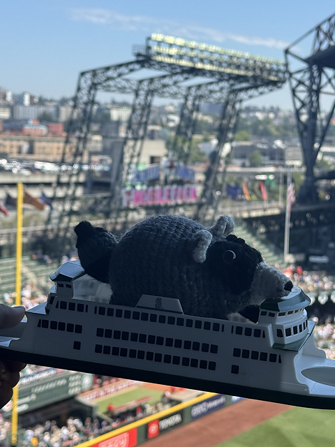 Jimothy the Seattle Raccoon