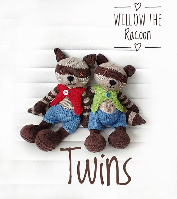 Willow the Racoon