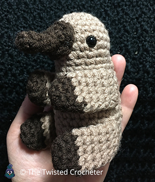 Mini Playtypus