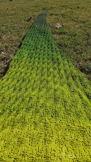 Drifting in the Wind Shawl