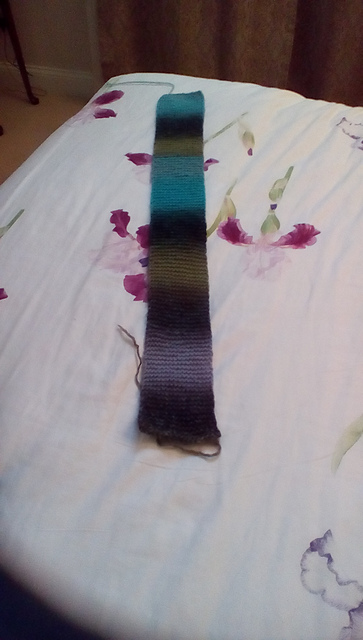 Skinny Scarf