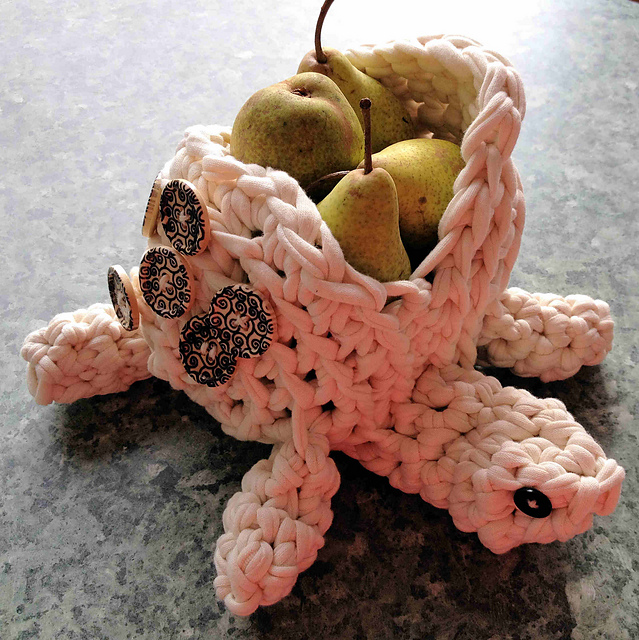 Bändersalat Schildkröte Emma