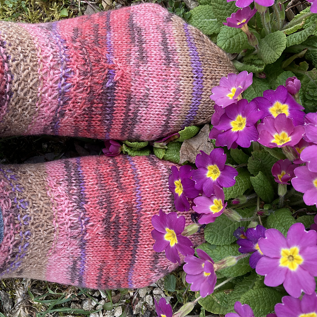 Susans Socks