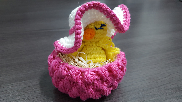 Albert The Fancy Chick