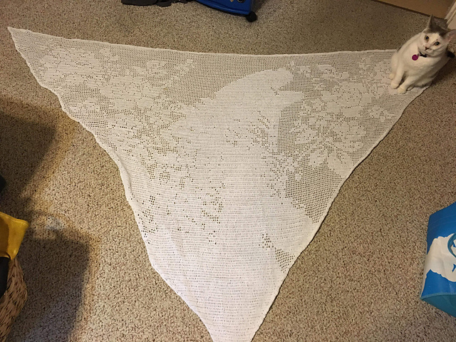 Thorn Amongst the Roses Shawl