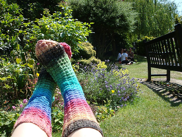 Lacertilia Socks