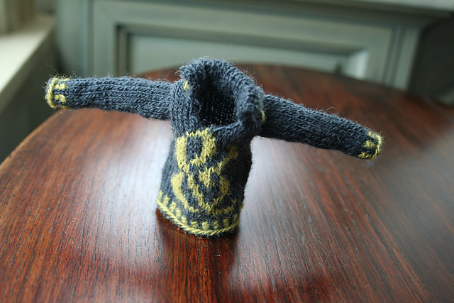 Miniature Ampers& Sweater