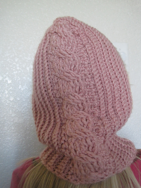 Surprise Twist Hooded Cowl