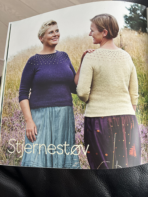 Stjernestøv