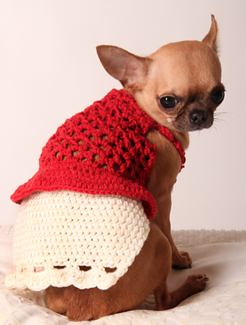 Dog Peplum Dress Coat
