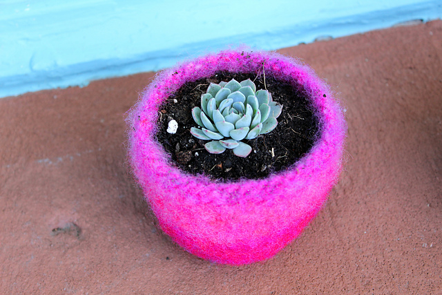 The Felted Succulent Planter
