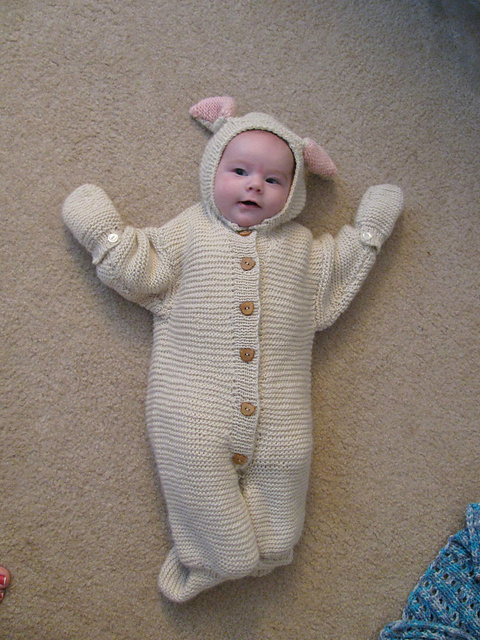 Bunny All In One