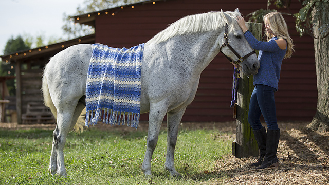 Ombre Stripe Blanket