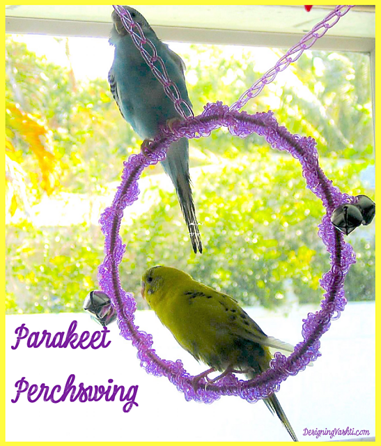 Parakeet Perchswing