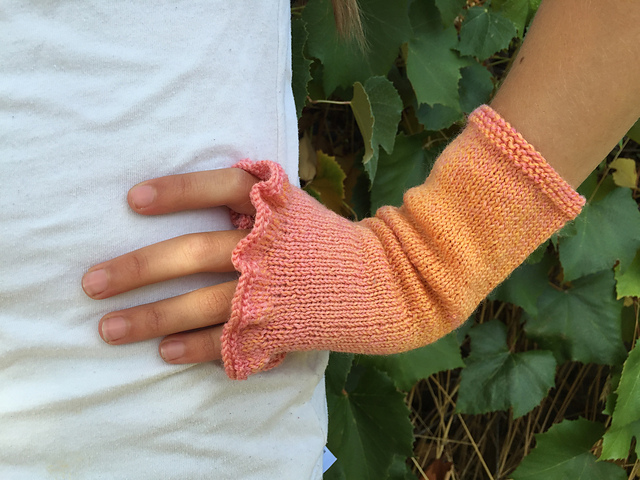 Haloarchaea Mitts