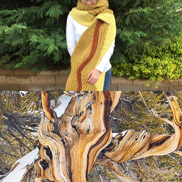 Bristlecone Stole