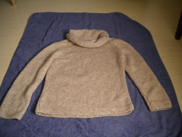 # 06 Raglan Sweater