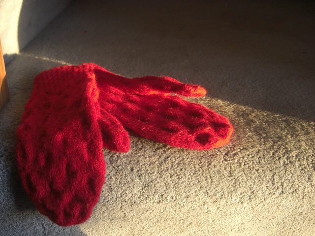 Gravitational Lensing Mittens