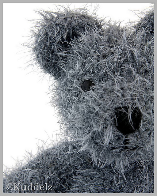 hairy bear