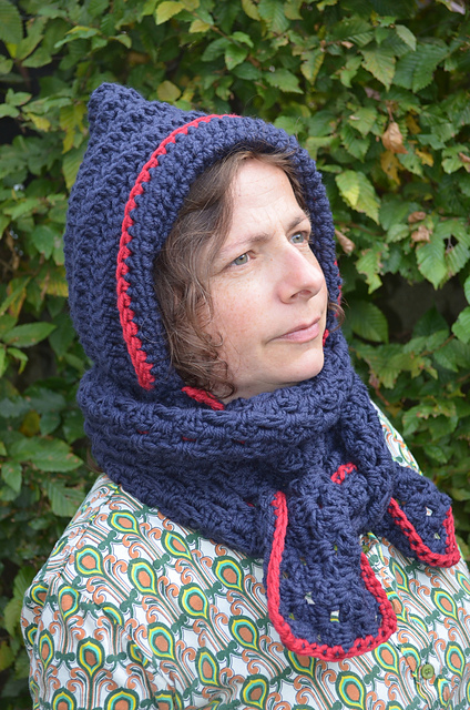 fairy hooded cowl