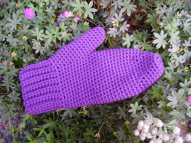 Ladies Mittens