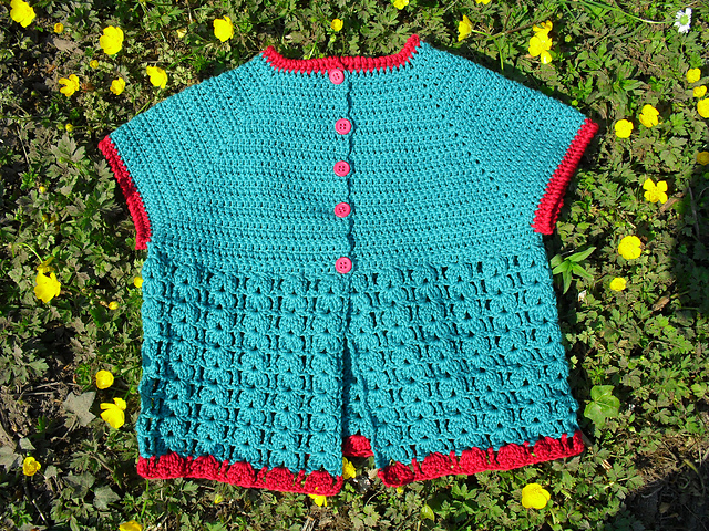 Jitse's vest