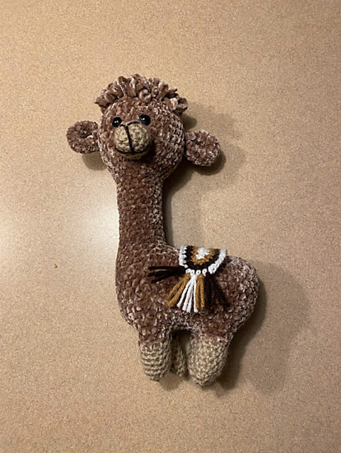 Alfonso the Alpaca