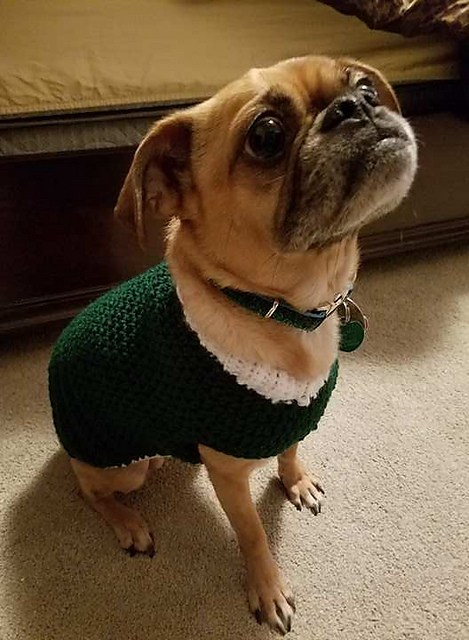 Medium HDC Dog Sweater
