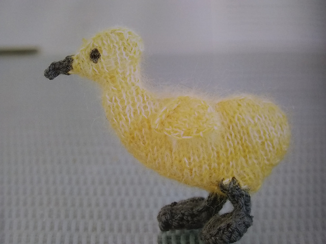 Gosling
