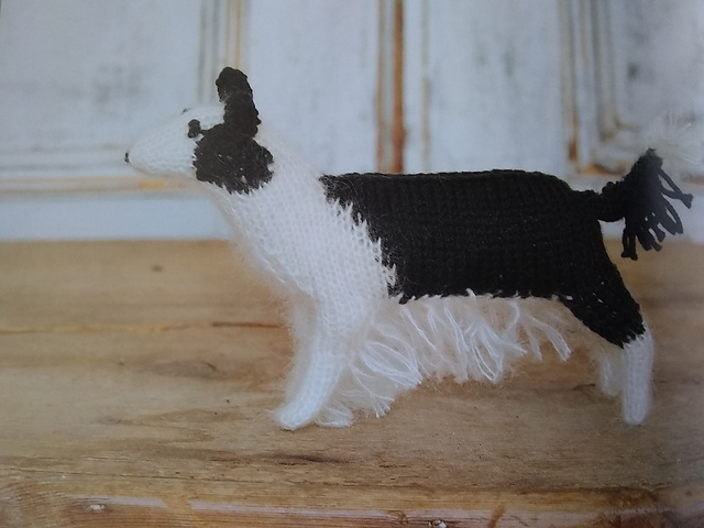 Sheepdog