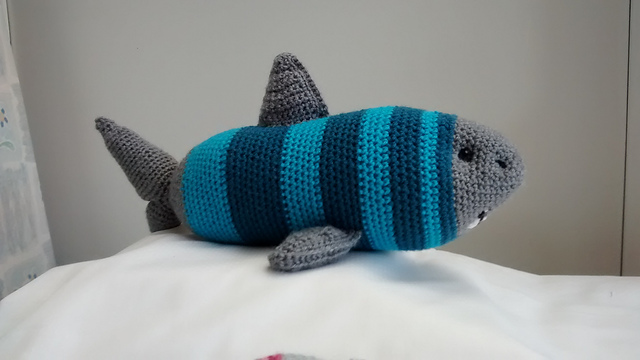 Socrates Shark
